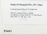 登錄號:F0006683藏品圖，第2張