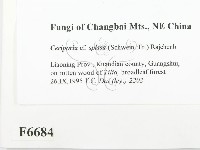 登錄號:F0006684藏品圖，第2張