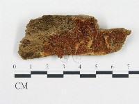 登錄號:F0006684藏品圖，第1張