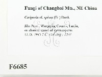 登錄號:F0006685藏品圖，第2張