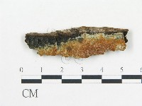 登錄號:F0006685藏品圖，第1張