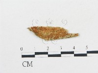 登錄號:F0006686藏品圖，第1張