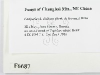 登錄號:F0006687藏品圖，第2張