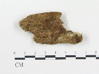 登錄號:F0006687藏品圖，第1張