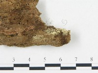 登錄號:F0006687藏品圖，第3張