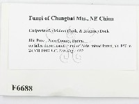 登錄號:F0006688藏品圖，第2張