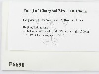 登錄號:F0006690藏品圖，第2張