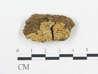 登錄號:F0006690藏品圖，第1張