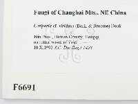 登錄號:F0006691藏品圖，第2張