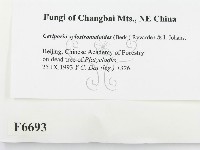 登錄號:F0006693藏品圖，第2張