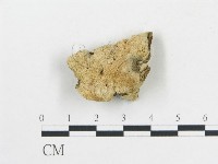 登錄號:F0006693藏品圖，第1張