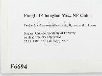 登錄號:F0006694藏品圖，第2張