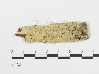 登錄號:F0006695藏品圖，第1張