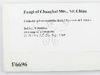 登錄號:F0006696藏品圖，第2張