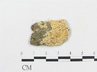 登錄號:F0006696藏品圖，第1張