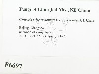 登錄號:F0006697藏品圖，第2張