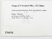 登錄號:F0006698藏品圖，第2張