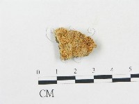 登錄號:F0006699藏品圖，第1張