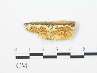 登錄號:F0006700藏品圖，第1張