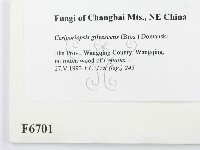 登錄號:F0006701藏品圖，第2張