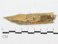 登錄號:F0006701藏品圖，第1張