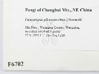 登錄號:F0006702藏品圖，第2張