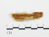 登錄號:F0006702藏品圖，第1張