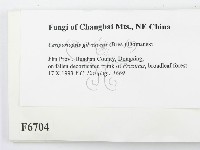 登錄號:F0006704藏品圖，第2張