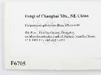 登錄號:F0006705藏品圖，第2張