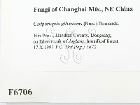 登錄號:F0006706藏品圖，第2張