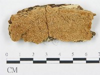 登錄號:F0006706藏品圖，第1張