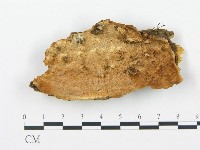 登錄號:F0006707藏品圖，第1張