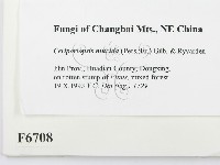 登錄號:F0006708藏品圖，第2張