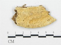 登錄號:F0006708藏品圖，第1張