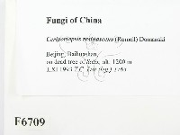 登錄號:F0006709藏品圖，第2張