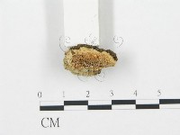 登錄號:F0006709藏品圖，第1張