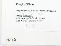 登錄號:F0006710藏品圖，第2張