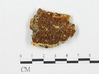 登錄號:F0006710藏品圖，第1張