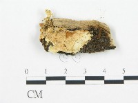 登錄號:F0006711藏品圖，第1張