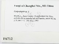 登錄號:F0006712藏品圖，第2張