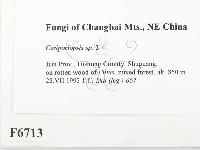 登錄號:F0006713藏品圖，第2張