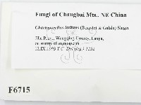 登錄號:F0006715藏品圖，第2張