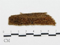 登錄號:F0006716藏品圖，第1張