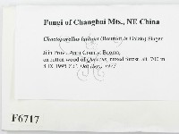 登錄號:F0006717藏品圖，第2張