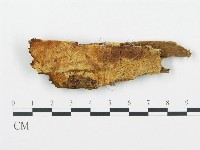 登錄號:F0006717藏品圖，第1張