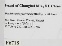 登錄號:F0006718藏品圖，第2張