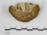 登錄號:F0006718藏品圖，第3張