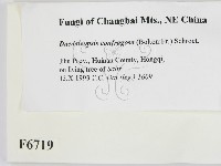 登錄號:F0006719藏品圖，第2張