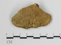 登錄號:F0006719藏品圖，第3張