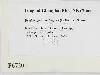 登錄號:F0006720藏品圖，第2張